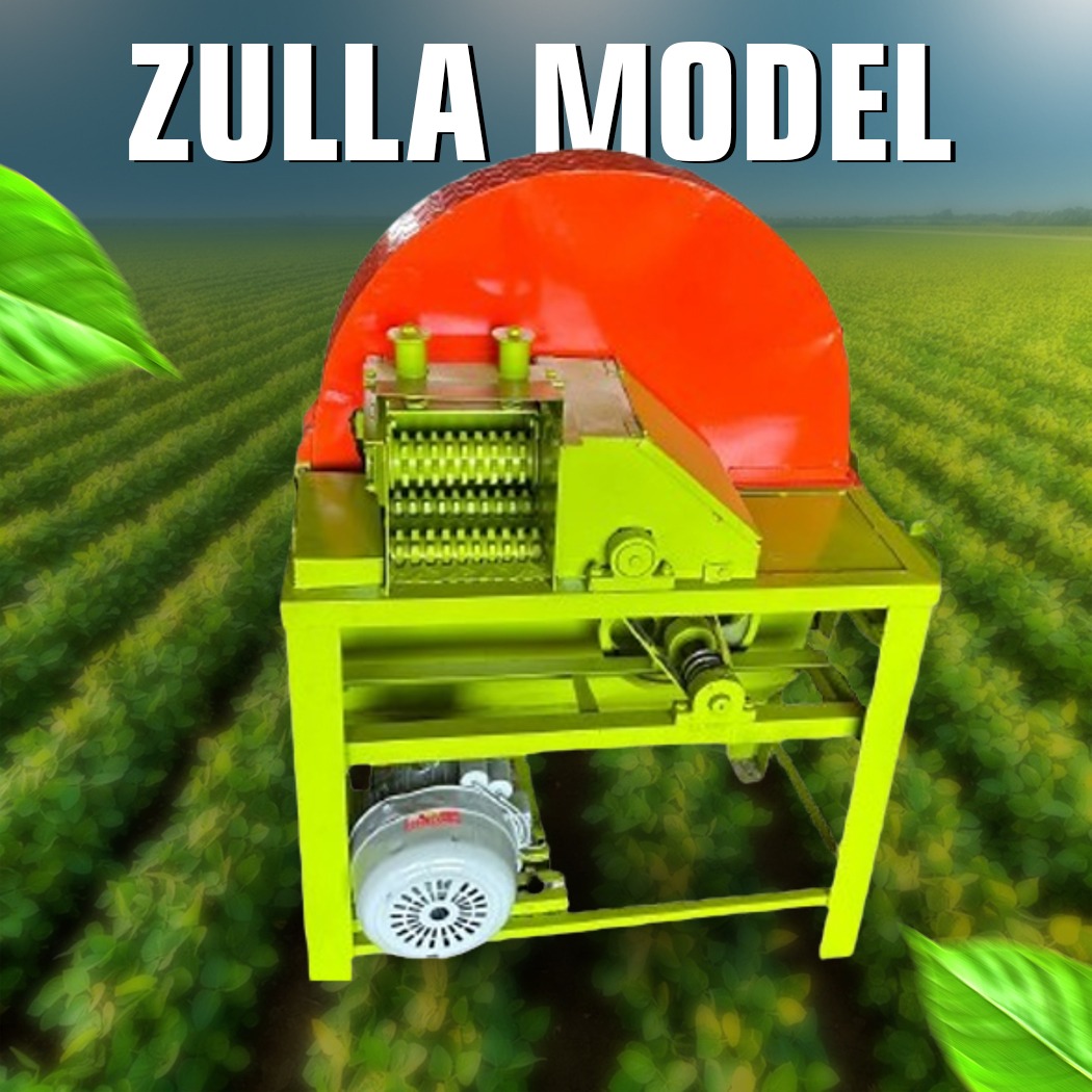 Doctor Model Zulla Model